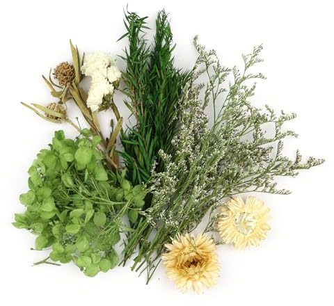 Klein Trockenblumen Zum Basteln,Natürliche Getrocknete Blumen Deko Grün | für DIY Handwerk Epoxidharz Scrapbook Fotorahmen Karten Machen