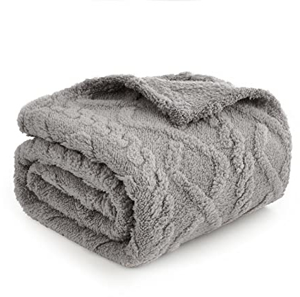 MIULEE Couverture pour Chien de Compagnie 100x120cm Tissu Polaire Moelleux Doux et Mignon Couvre-Lit Chaud Couverture Jeter Tapis de Sommeil Lavable pour Chiens Chats Cochon d'Inde Anaimals Gris Clair