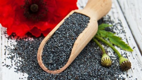 Gemahlener Mohn Blaumohn 100% 250g