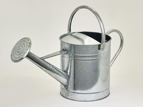 Arrosoir galvanisé 5L – Look Vintage galvanisé – Robuste et Compact – Double rivetage – Pomme dévissable