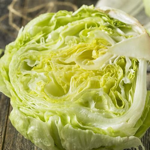 semi di lattuga iceberg aiuole rialzate per giardino lattuga iceberg fresca da resistenti perenni, decorazione da giardino all'aperto 800pcs