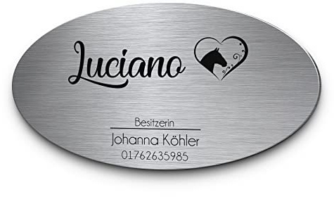 Pferdeschild mit Gravur aus Edelstahl | Namensschild Boxenschild Premium Stallschild mit Bohrlöcher oder selbstklebend 15x8 cm oval mit Brandzeichen und Motiven Ideal für den Stall Pferdebox… (D13)