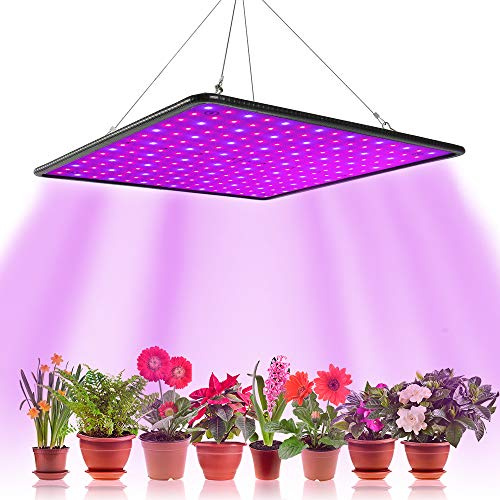 Beenle-Icey 1000W Lampe Led Horticole Croissance Floraison,Grow Light pour Culture Indoor Plante Lampe de Plante Croissance Hydroponique Eclairage Germination avec Crochet (B)