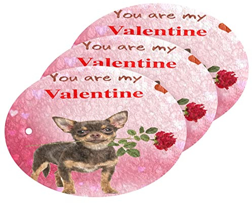 Kcldeci 3 Stück Peeling-Schwämme Herz Hund Valentinstag Küche Schüssel Schwamm Kratzfester Mikrofaser Schwamm zum Reinigen von Geschirr, Töpfen und Pfannen