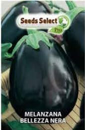 Semi di Melanzana Bellezza Nera, Sementi per Orto in bustina