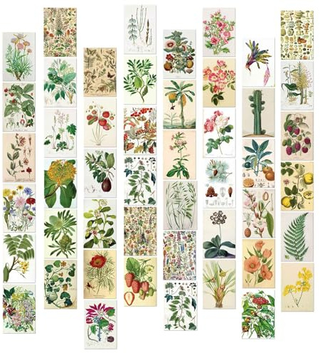 PORUPAEL 50 Stück Vintage Botanische Postkarten Set Blumen Poster Karten Wanddekoration Schlafzimmer Karten Dekoration Aesthetic Mini Poster (I)