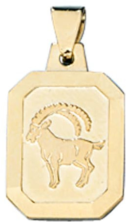 Sternzeichen Steinbock Goldanhänger Anhänger 333 Gold Halsschmuck Unisex