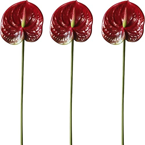 HAOSHICS Künstliche Anthurium-Lilienblumen, permanente Blumen, 55,9 cm, 3 Stück, tropische Kunstpflanzen, Blumensträuße für Tischdekoration, Brautschmuck, Hochzeit, Festival, Dekoration, Blume (D)