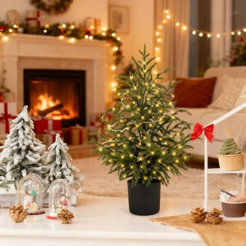 2ft Pre-lit Norfolk Pine Tree, Artificial Cypress Christmas Tree Lighted Tabletop Pine with Warm LED Lights, 24 Inch Xmas Trees for Home, Office Holiday Decor & Party (80cm)