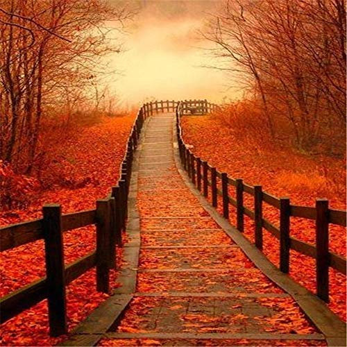 Puzzle 5000 Teile, Puzzle Erwachsene 5000 Teile, Rote Blätter am Straßenrand Impossible Puzzle, Puzzle Kinder Mädchen, Geschicklichkeitsspiel für die ganze Familie, Puzzle Erwachsene 5000 Teile-61.61