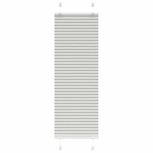 vidaXL Estor plisado gris claro, 40 x 150 cm, ancho de la tela de 39,4 cm, poliéster, estor plegable, Klemmfix, estor plisado, persiana para ventanas