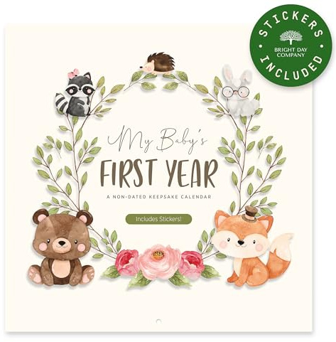 Bright Day Baby's First Year Kalender – 1. Jahr Tracker – Tagebuchalbum zum Festhalten wertvoller Momente – Meilenstein-Andenken für Mädchen oder Jungen