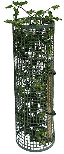 Tubex Paketangebot | Treeguard Strauch-/Baumschutzgitter Röhre | 8 Stück | 60cm | Ø 170-200mm | grün | Stammschutz | Rindenschutz | Verbissschutz | Plus Bambusstäbe | 8 Stück | 90cm | zur Befestigung
