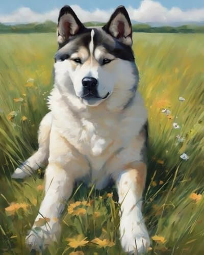 ZMHZMY Malen nach Zahlen Kit für Erwachsene, Akita-Hund auf Gras,Poster Kunst Moderne Leinwand Ölgemälde Home Decor,40x50cm