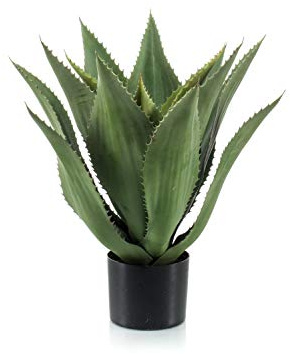 artplants.de Kunst Agave Fernanda, grün, 55cm - Künstliche Agave Pflanze/Sukkulente künstlich