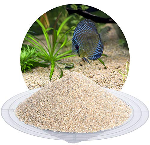 Schicker Mineral Aquariumsand beige 25 kg, feiner Aquariumkies gewaschen & ungefärbt, kantengerundeter Bodengrund, Kies für Süßwasseraquarien, Meerwasseraquarien, Aquascaping (Ø Körnung: 0,71-1,25 mm)