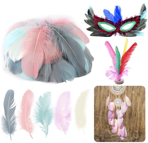 HOCUCHELAND 200 Stück Federn zum Basteln, 6-12cm Bunte Federn Handwerk, Indianer Kopfschmuck Handwerk, 5 Farbe Bunte Feder Deko für DIY Ohrring, Traumfänger Basteln, Kopfschmucksfedern, Schulhandwerk