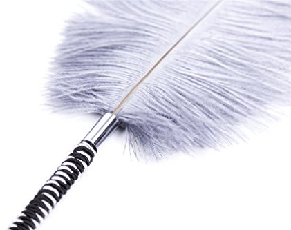 Boowhol Plume érotique Blanc Avec Sangle Tissée Bâtons Accessoire Sexy Domination SM Jouet Sexuel - Cadeau Noël