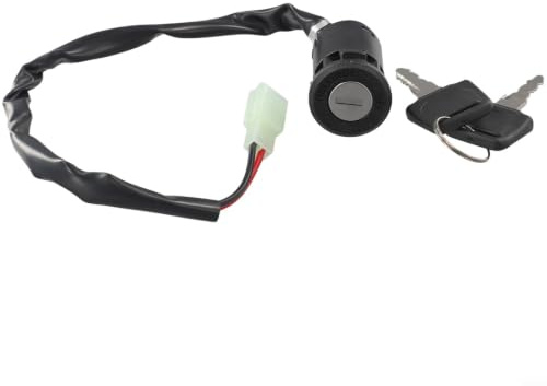 Interruttore di accensione con 2 chiavi per moto ATV per quad ciclomotore – Interruttore di accensione impermeabile 28 mm incasso – Interruttore di avviamento on/off a 2 poli per Dirt Bike Go-Kart