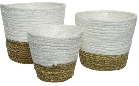 Maceta de algas marinas trenzadas de 13 – 17 cm, juego de 3 unidades – Cesta de mimbre estilo boho natural blanco – Maceta para plantas para interior y exterior – Cesta de almacenamiento – Home Garden