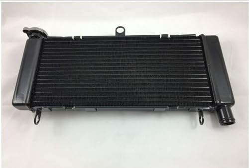 TERAM LOISIRS - Radiatore per Honda 600 Hornet 1998 1999 2000 2001 2002 2003 2004 2005