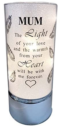 Tubo de luz conmemorativo, perfecto para jardín y tumba para cualquier ocasión especial en la memoria de papá, mamá, hijo, hija, marido, esposa, abuelo, abuela, hermano, hermana. (20 cm)