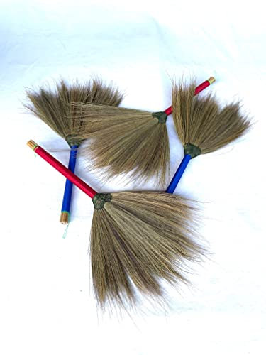 Kehrbesen aus echten Palmenfasern 50 x 30 cm mit Stiel - Hand Besen aus Kokosfasern