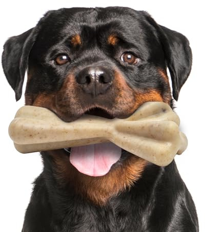 Fuzzl Seriously Tough Tasty Wishbone Beef Infused 18cm Nylon Dog Chew Toy Infused Beef Bone Tough Dog Toys for Extreme Chewers Dog Bone Long Lasting Dog Chew Toys for Aggressive Chewers Strong Dog Ty