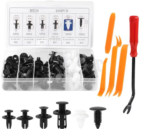 100 Pezzi Rivetti Push-In in Plastica per Auto, 6 Clip Auto Universali con Strumento di Rimozione, Clip Fissaggio Auto Per Paraurti, Parafanghi, Pannelli di Rivestimento Delle Portiere