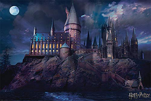 Harry Potter Poster Hogwarts (91,5cm x 61cm)