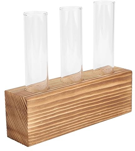 WOFASHPURET 1 Satz Hydroponisches Reagenzglas Aus Glas Tillandsien-luftfarn-ausstellungsstand Terrarium Pflanze Glasvase Pflanzengestell Aus Metall Holz Blumen Und Pflanzen Hydroponik