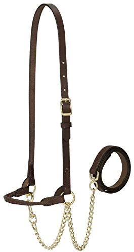 Weaver Leather Livestock Dairy Halter