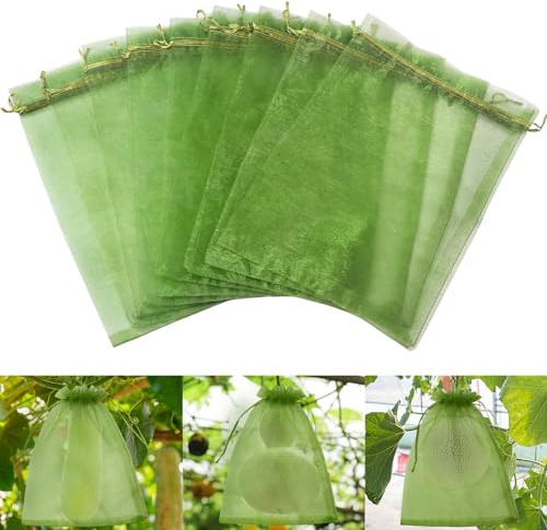 LINSOCLE Druvskyddspåse 40 x 30 cm, 50 stycken vindruvor, skyddspåsar, fruktskyddspåsar, stor organzapåsar för att skydda frukt från insekter och fåglar (mörkgrön)