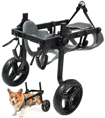 Leichter Rollstuhl für Hunde, Trolley für Haustiere, verstellbar für Hinterbeine, Mobilitätshilfe des Hundes mit Rädern für verletzte Welpen mit 9-14kg (M/L)