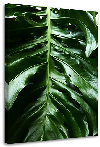 Feeby Leinwand Bilder - Bild Wohnzimmer - Monstera Blätter Exotisch Grün - 20x30 cm 1tlg - Deko Schlafzimmer Groß - Dekoration Canvas - Gemälde - Modern Wandbilder - Kunstdruck