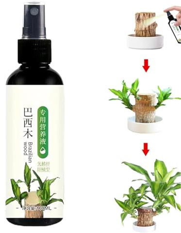 Alimento para Plantas de Madera de Brasil, Fertilizante Líquido para Bambú de la Suerte, Fertilizante Líquido para Plantas de Interior, Solución Nutriente Especial, Fácil de Absorber (1pcs)