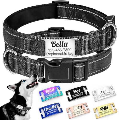 Geräuschloses personalisiertes Hundehalsband mit austauschbarem Namensschild