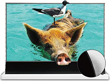 VIVIDSTORM Electric UST Projector Screen, Tensioned for Smooth Display, 4K/8K HDR Ready, Ideal for Home Theate,VWSDSTUST100H