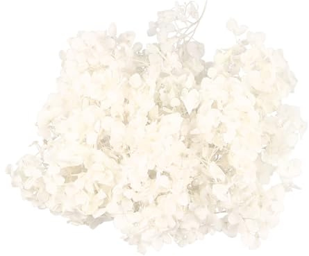 EPIGEIST Pétales d'Hortensia Séchés Blancs 20G Fleurs Naturelles pour Décoration DIY Nail Art Fournitures de Fête Anniversaire Mariage