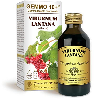 Dr Giorgini Integratore Alimentare, Viburno Gemmoderivato Concentrato Liquido Analcoolico - 100 ml