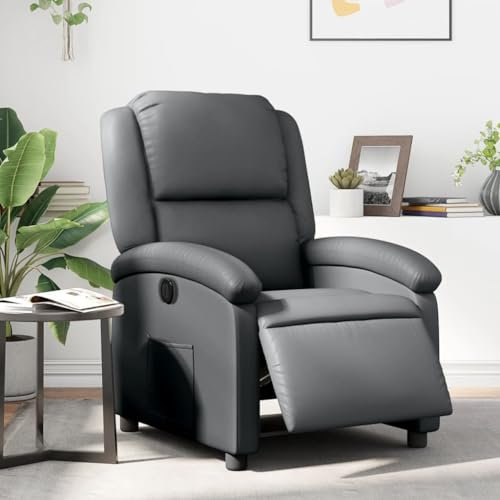 IKAYAA Relaxsessel Fernsehsessel mit Liegefunktion Sessel Elektrisch Relaxliege Verstellbar Elektrischer Wohnzimmer Liegesessel Schlafzimmer Lesesessel Bequem Loungesessel Kunstleder