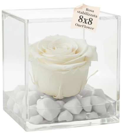 PremiumRose Rose Blanche Stabilisé Parfumé 8cm, Vraie Rose Eternelle, Idée Cadeau Maman, Copine, Amie, idée Cadeau Anniversaire, Remise de Diplôme (Blanc - A 1088)