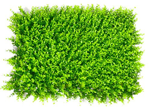 QIAOH Pannelli di Siepe di Bosso Artificiale 2 Pezzi, Siepe Sintetica Sempreverde Bosso, Artificiale Pannello da Siepe di Bosso, Schermatura Privacy Screen Garden Fence