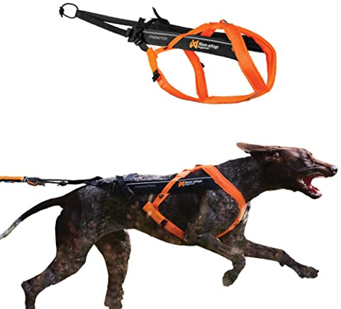 Freemotion Harness 5.0 Parent Listing (Orange/Black, 8)