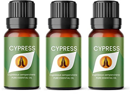 Aroma Energy | Cypress Essential Oil - 30ml (3 x 10ml Bottles) - 100% Pure & Natural