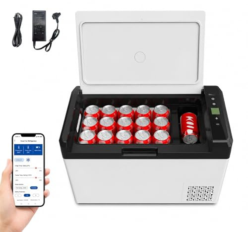 25L Bärbar Kylskåp, Mini Kylbox, Kylskåp 12V Kompressor, 12/24V DC & 110/220V AC, 10°C till -22°C, för lastbil, husbil, minibuss, SUV, camping, resor