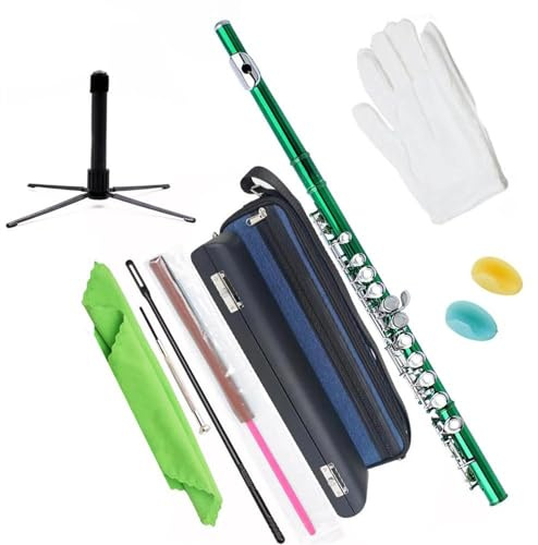 Professionelle Querflöte 16-Tasten-C-Ton-Schülerflöte Mit Geschlossenem Loch, Tragbarem Rucksack Und Zubehörset (Color : D)