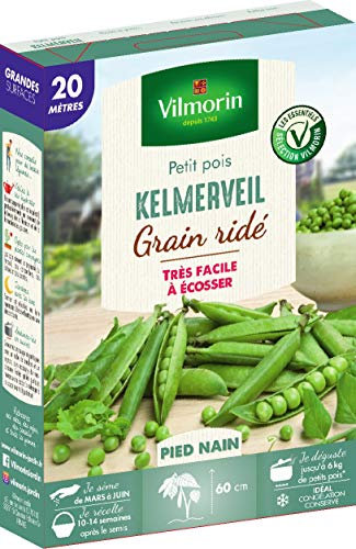 Vilmorin Pois Kelmerveil amélioration Merveille de Kelvedon Boite série 20m, Vert