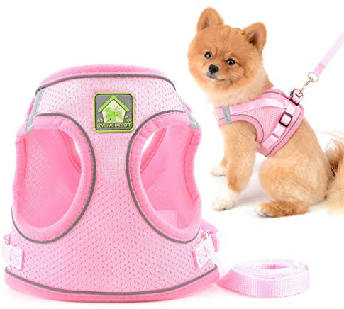 smalllee_Lucky_Store Hundegeschirr und Leine für kleine Hunde Welpen, weiches Netzgewebe, reflektierend, katzengeschirr ausbruchsicher für Spaziergänge,für Jungen,Mädchen,kleine Welpen,Kätzchen