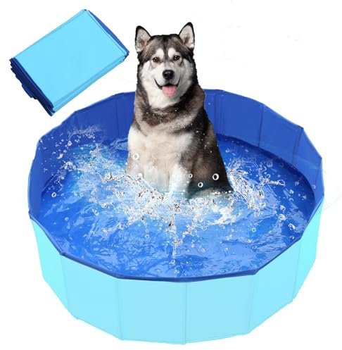 Hundepool, faltbar, PVC, für kleine Hunde, Badewannen, Garten (50 x 8 cm)